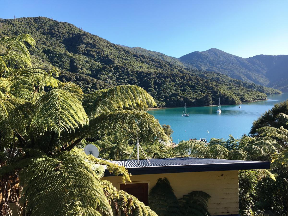 Punga Cove Resort Endeavour Inlet Екстер'єр фото