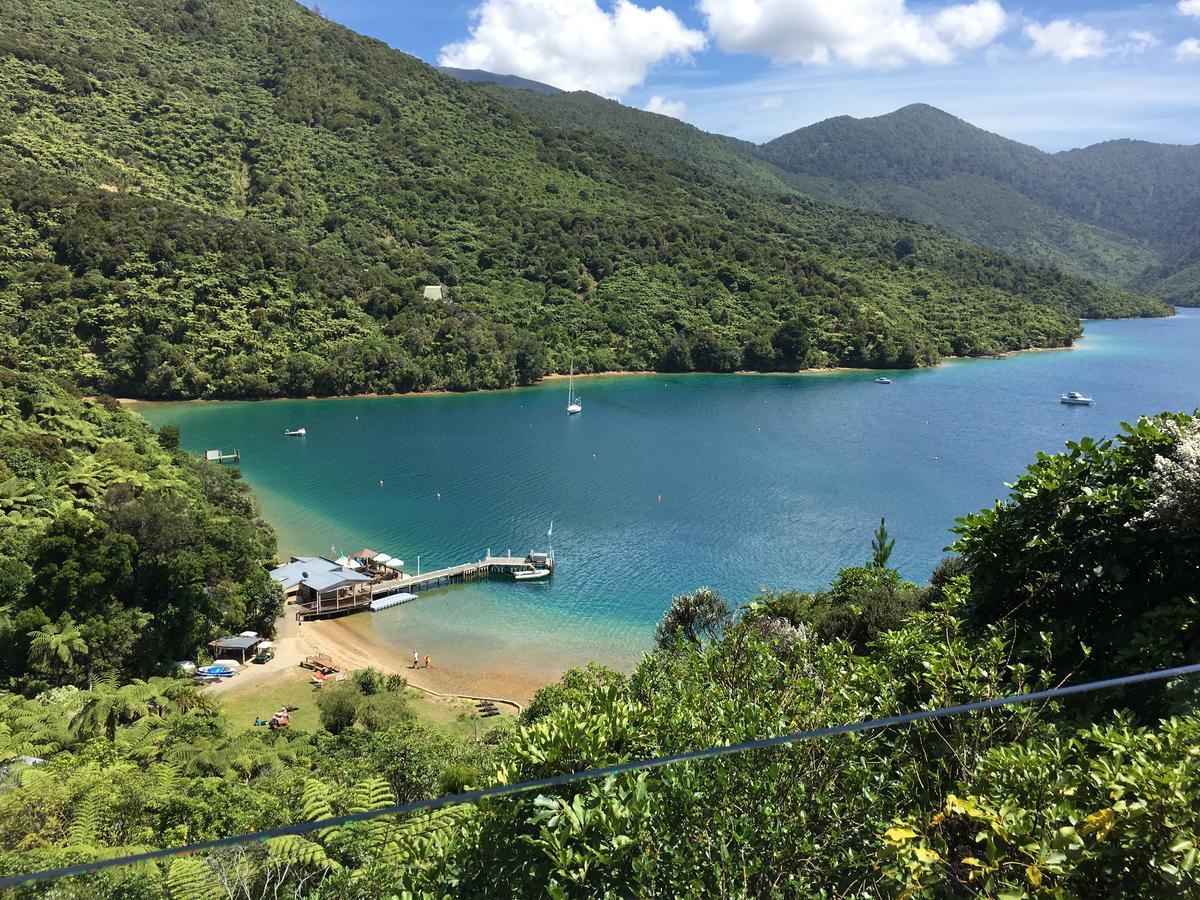 Punga Cove Resort Endeavour Inlet Екстер'єр фото