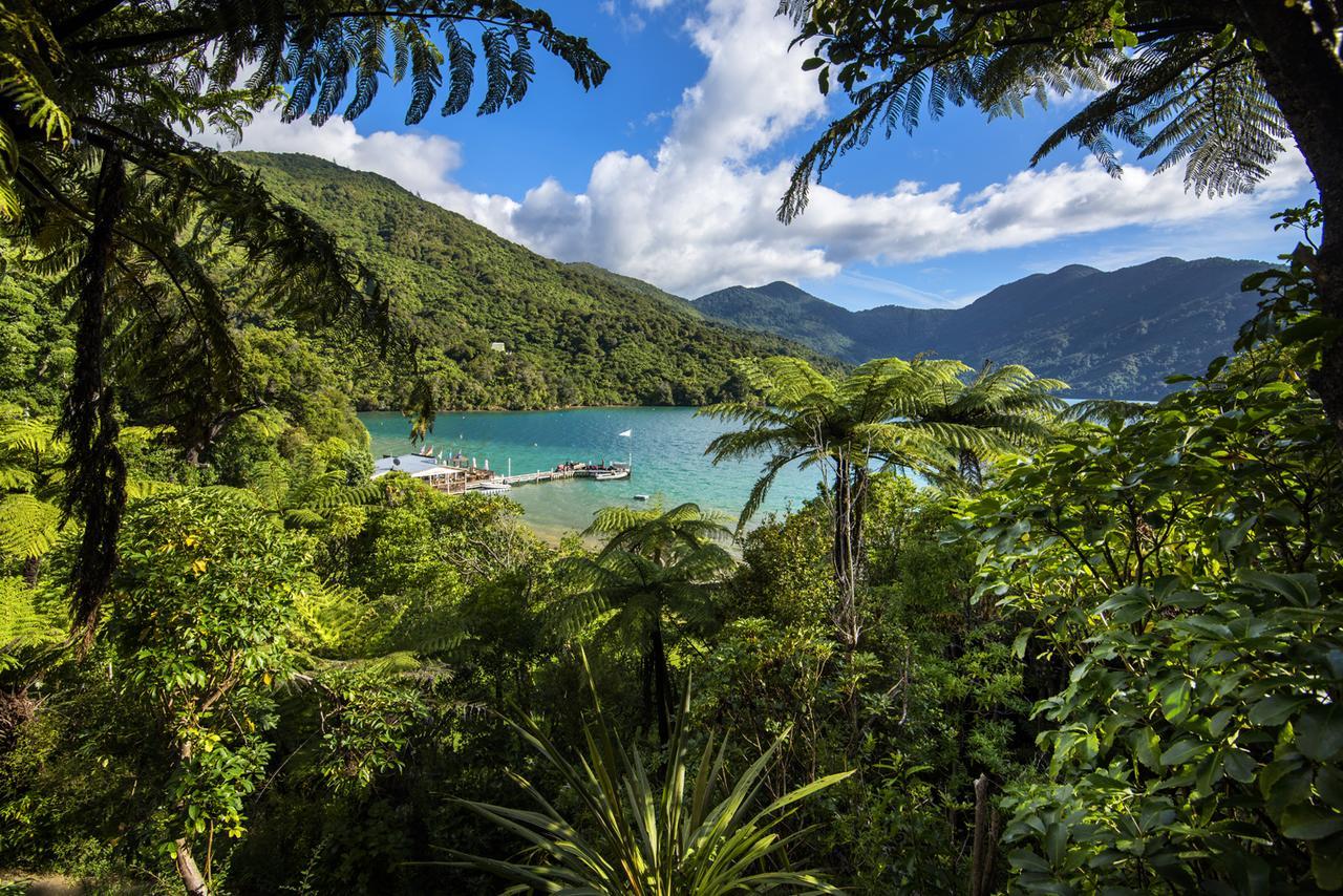 Punga Cove Resort Endeavour Inlet Екстер'єр фото