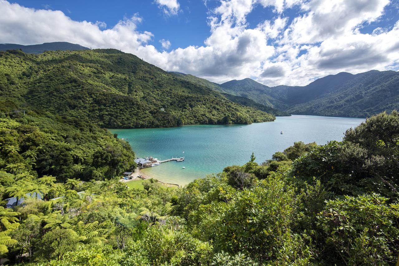Punga Cove Resort Endeavour Inlet Екстер'єр фото
